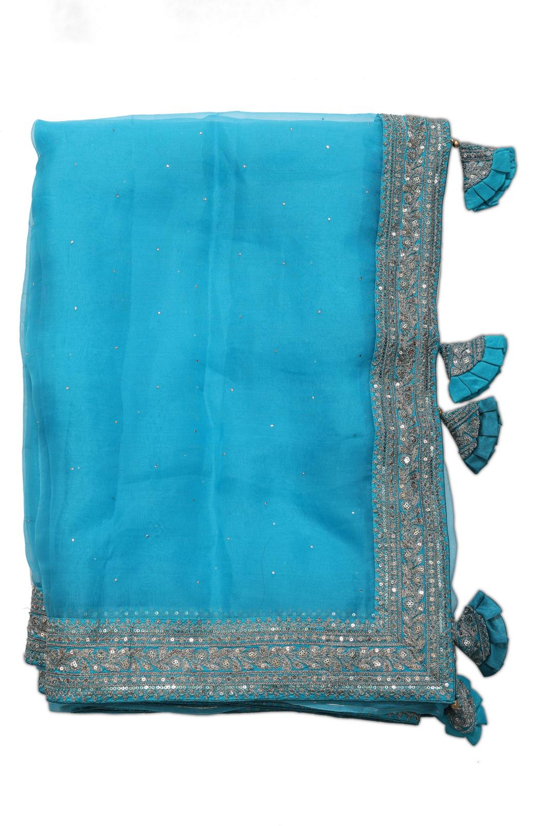 Blue Fancy Organza Saree F00974