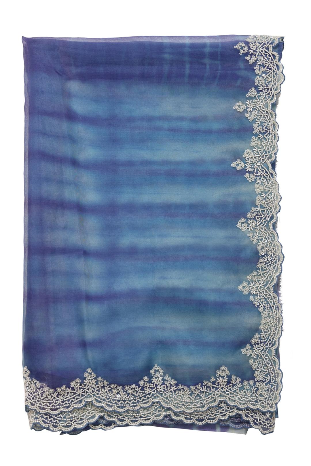 Blue Embroidered Organza Saree DS1011