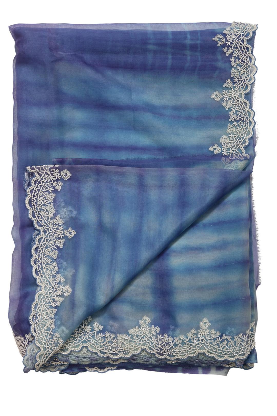 Blue Embroidered Organza Saree DS1011